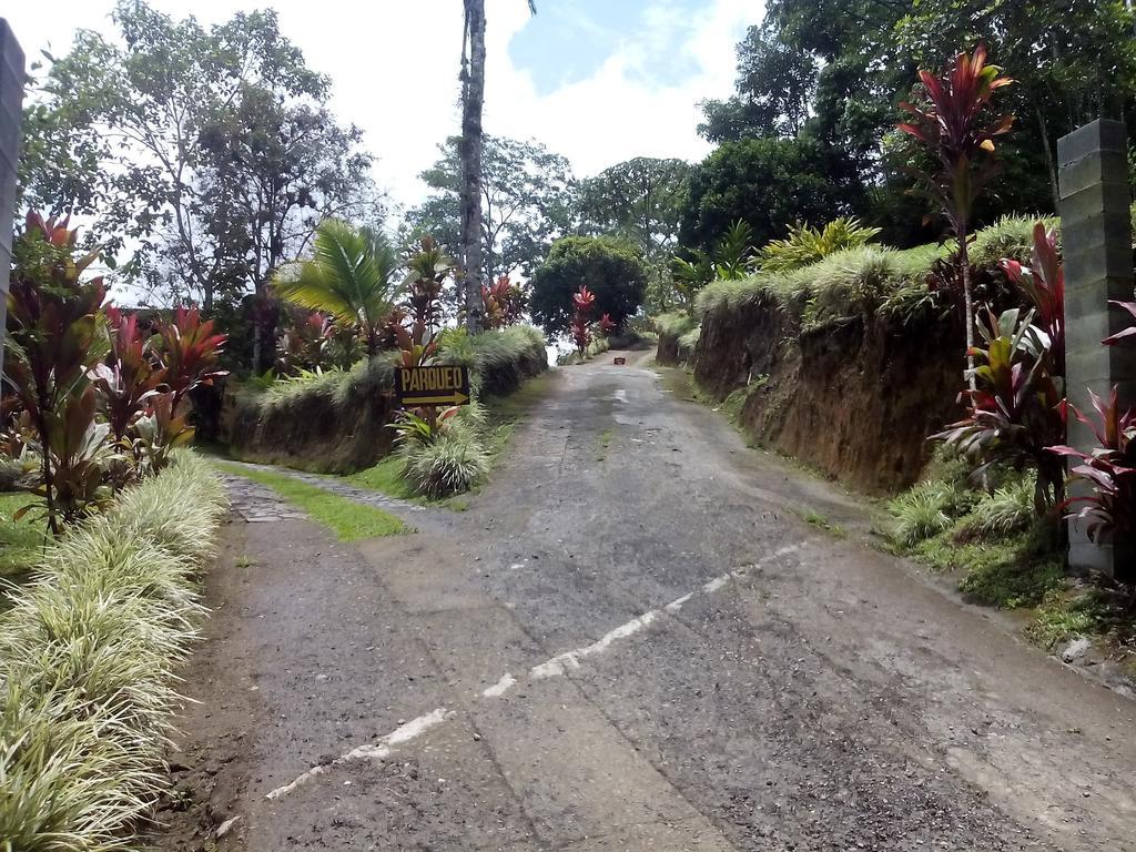 Green Mountain And Lodge Turrialba Quarto foto