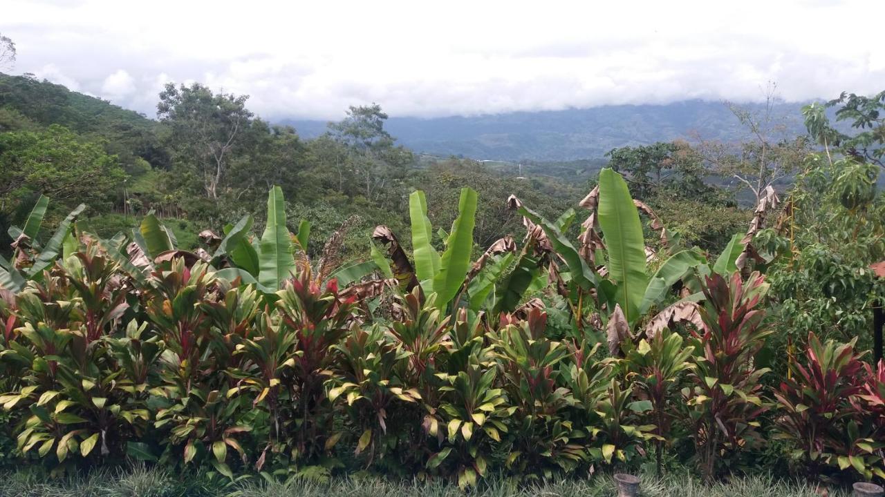 Green Mountain And Lodge Turrialba Exterior foto