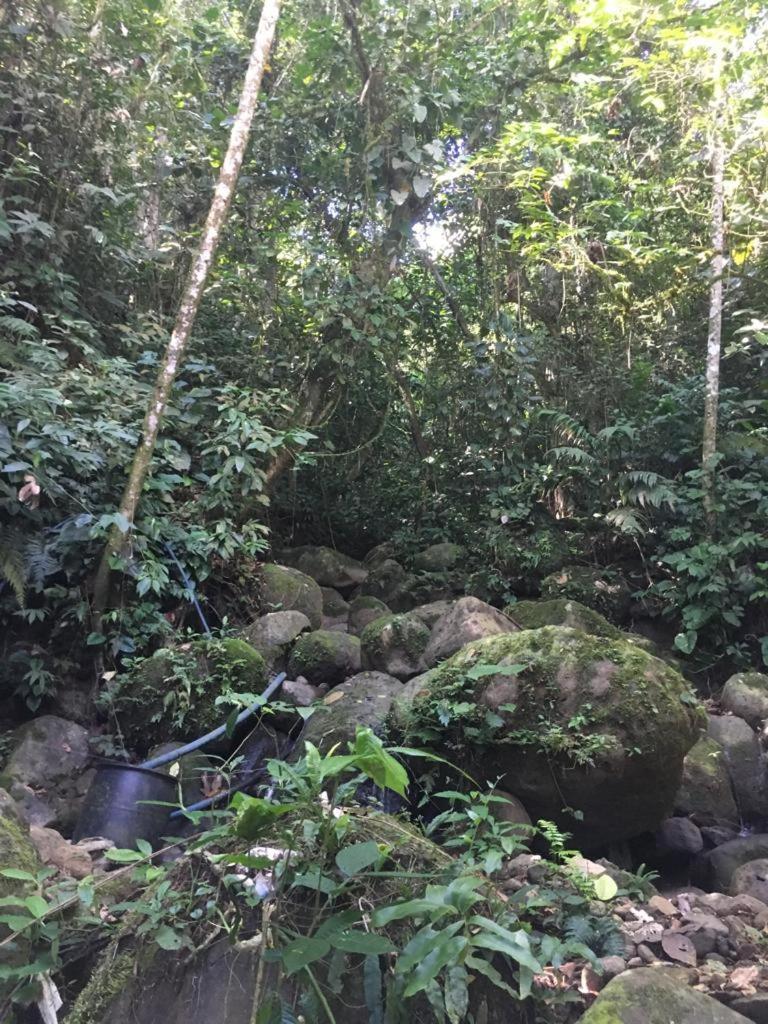Green Mountain And Lodge Turrialba Exterior foto