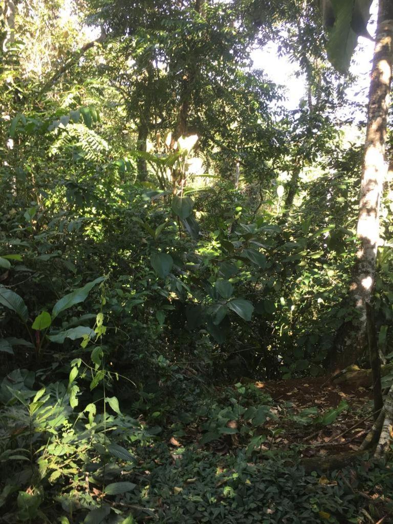 Green Mountain And Lodge Turrialba Exterior foto